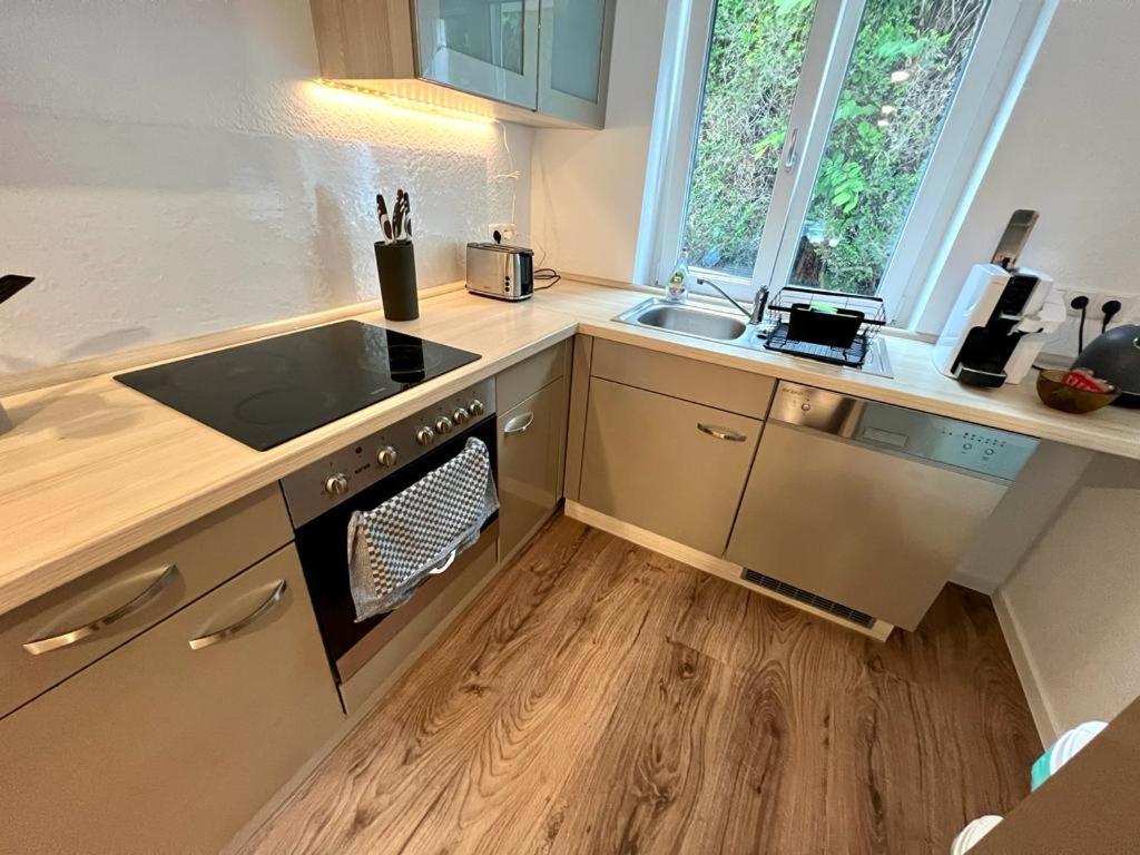 Burgheim Exklusive Neubauwohnung Mit Wundervoller Aussicht Naehe Europapark Und Rulantica מראה חיצוני תמונה